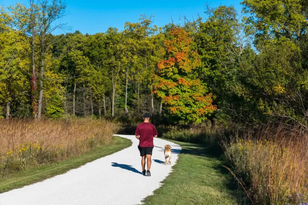 man with his dog on a walk