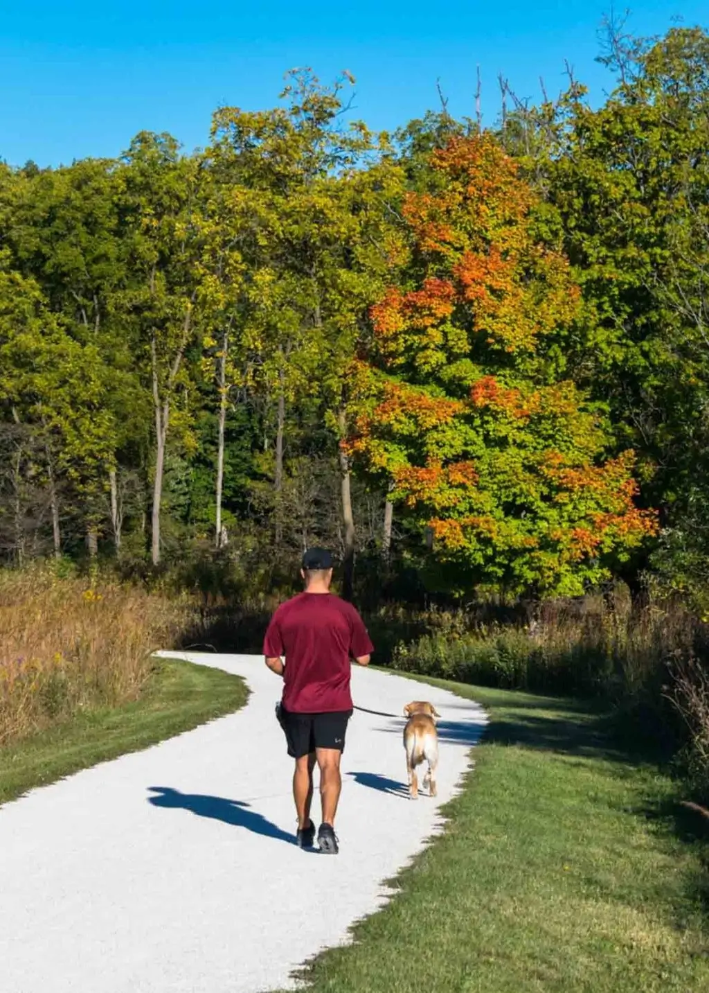 668f1b874b8e8e55b1f4064a2b7bc1b74f1c1e96